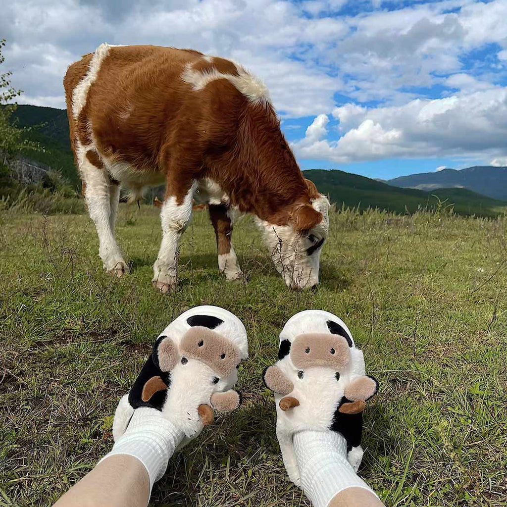 Cute Cow Slippers