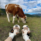 Cute Cow Slippers